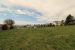 buildable land for sale on Lovagny (74330)
